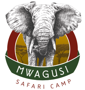 Mwagusi